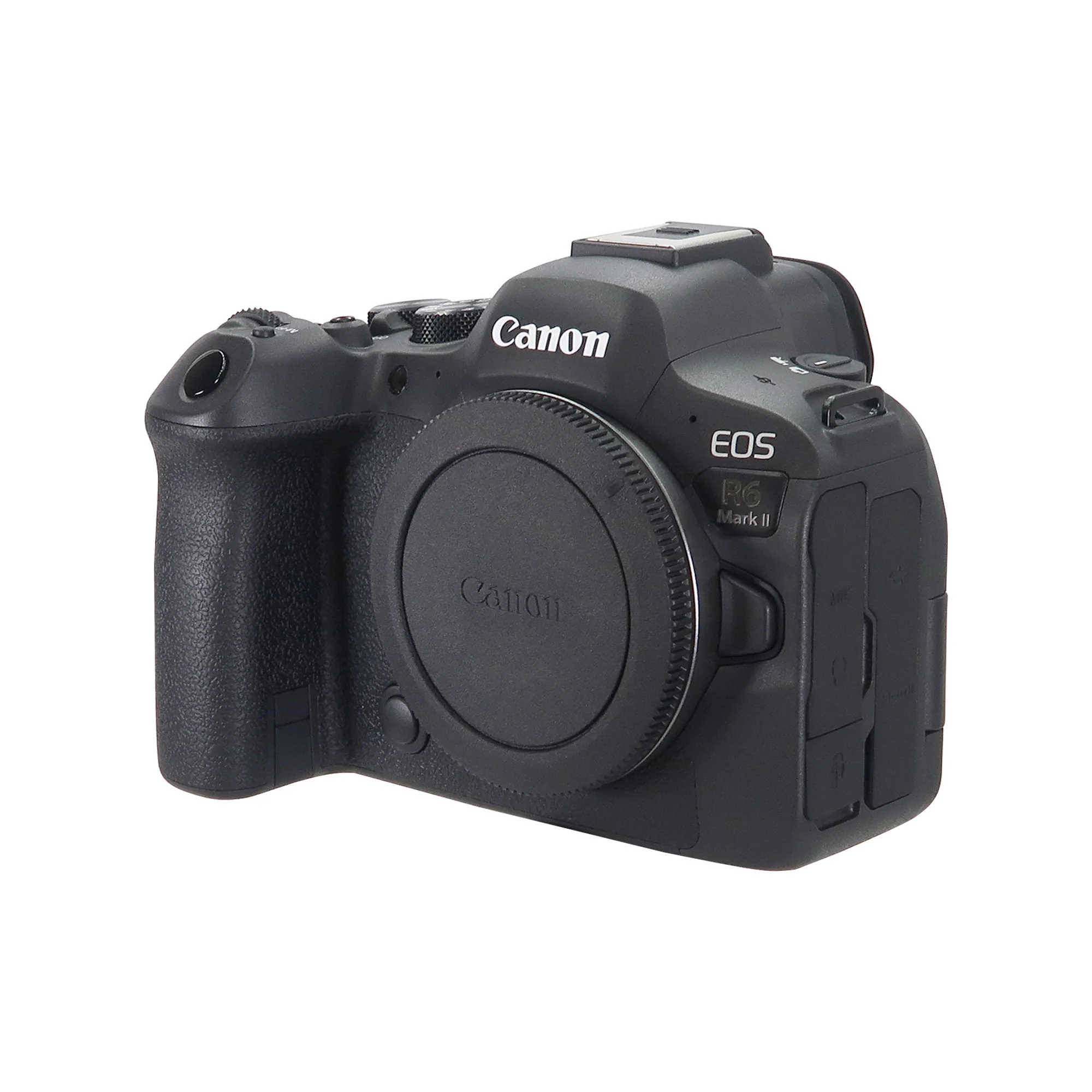 Canon EOS R6 Mark II Mirrorless Camera with 24-105mm f/4 Lens Ultimate Photography Bundle - Image 5