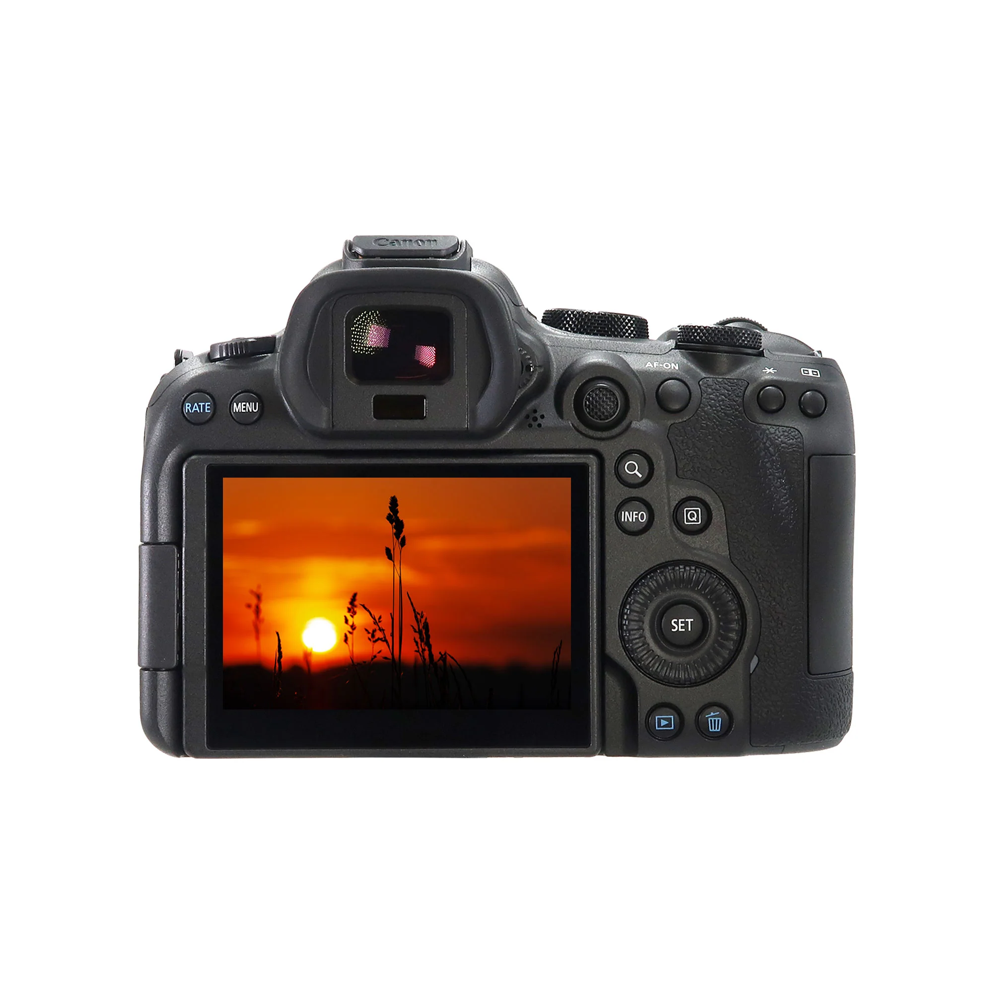 Canon EOS R6 Mark II Mirrorless Camera with Canon RF 24-105mm f/4-7.1 IS STM Lens - Image 6