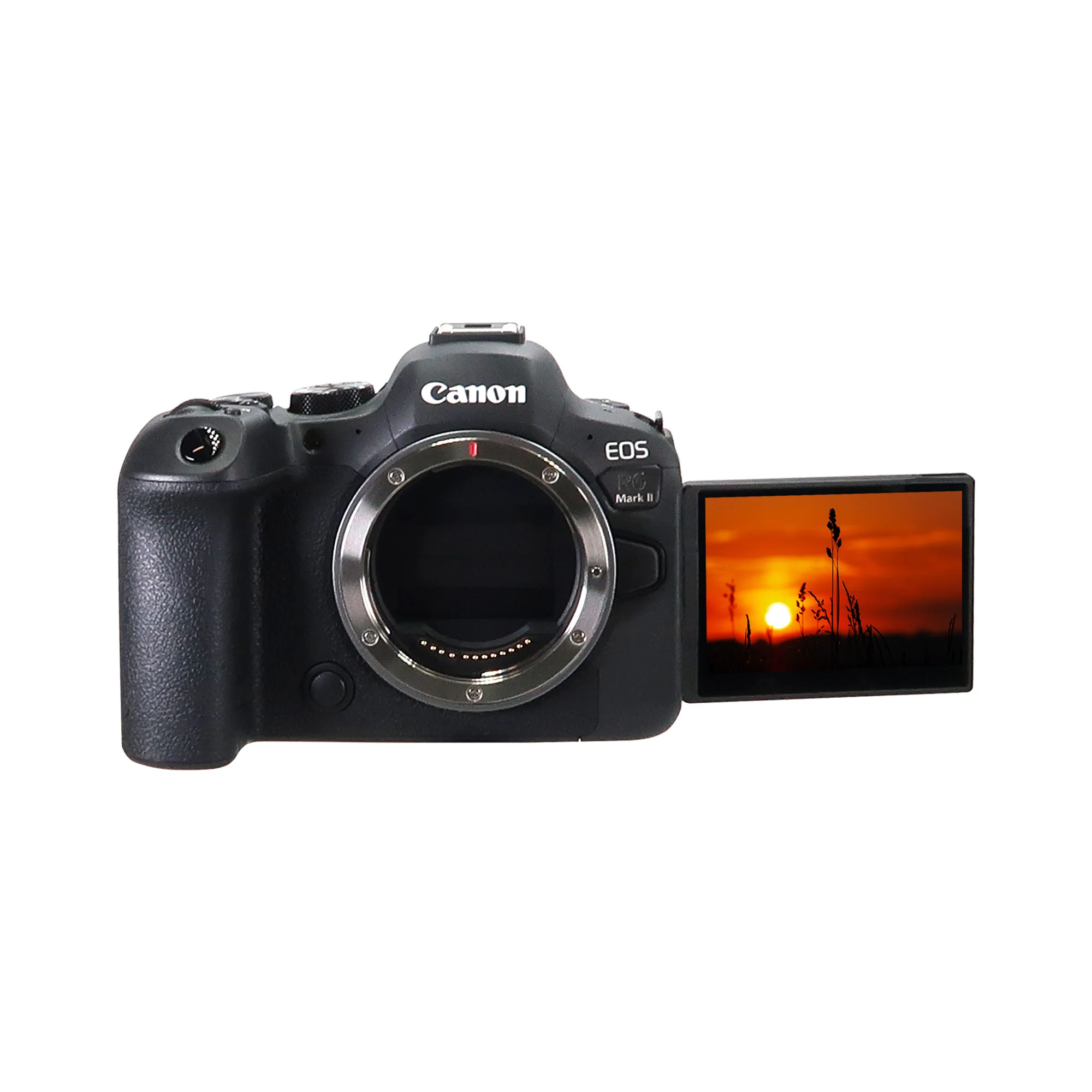 Canon EOS R6 Mark II Mirrorless Camera with Canon RF 24-105mm f/4-7.1 IS STM Lens - Image 7