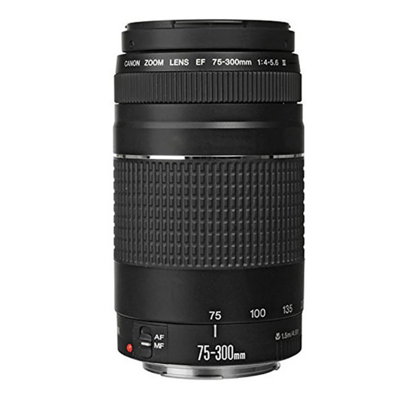 Canon EOS 90D 32.5MP DSLR Camera with 18-55mm and Canon 75-300mm Lens + 32GB Accessory Kit - Image 4