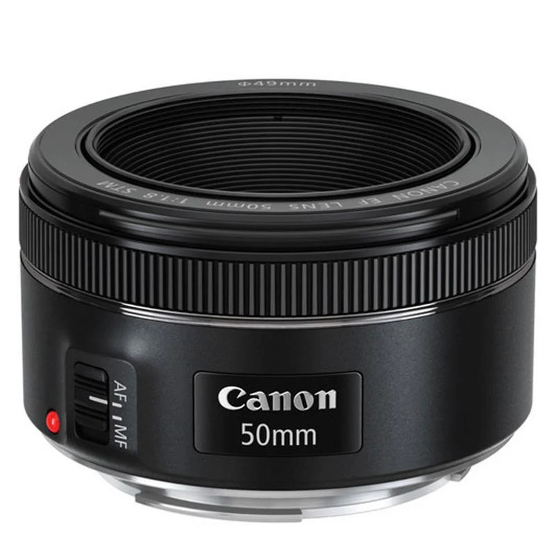 Canon EOS Rebel T7 DSLR Camera with EF-S 18-55 IS and Canon EF 50mm f/1.8 STM Prime Lenses + Accessories - Image 4